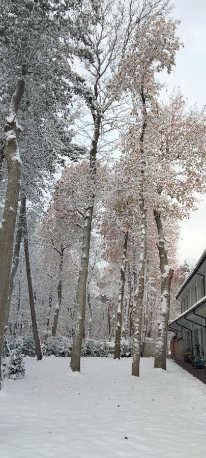 Apartamenty Plazowa 11 Darlowko Bagian luar foto